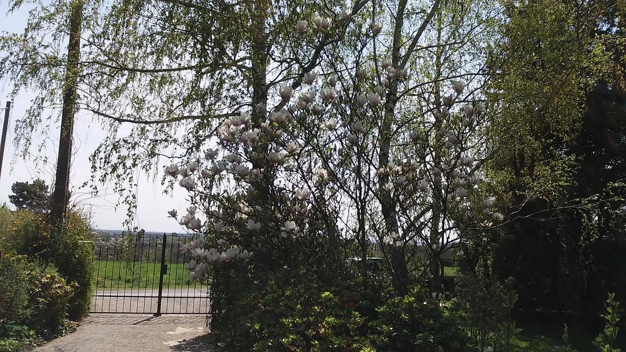 Frutta Villa Cserszegtomaj Exterior photo